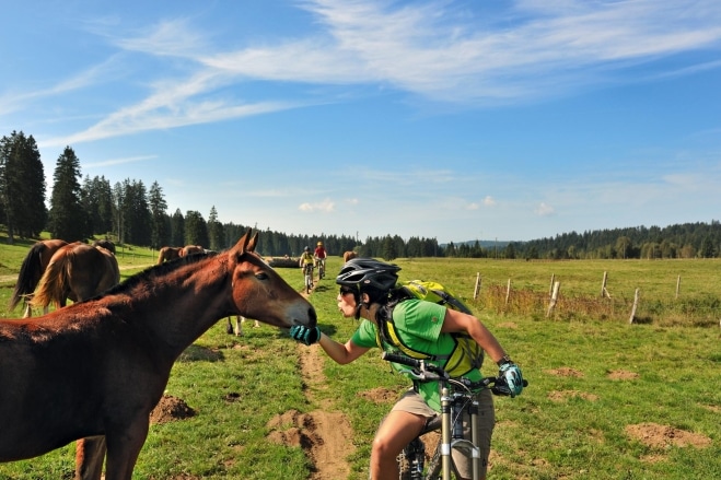 a-travers-les-franches-montagnes_2000
