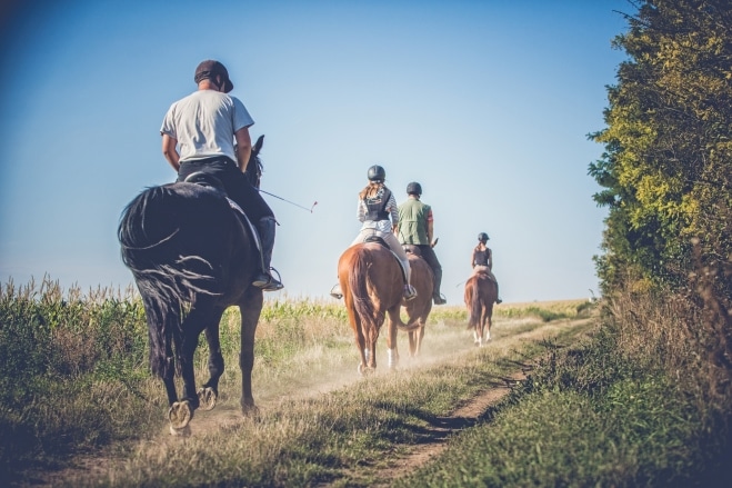 shutterstock_469988021 2